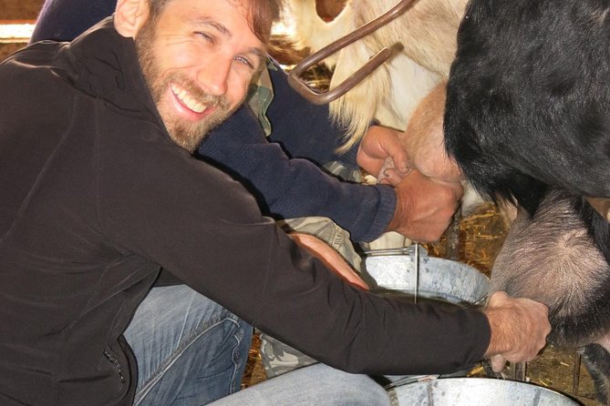 Halloumi Heaven: Cheese-Making Class & Troodos Mountain Villages 8h - Tasting Delights