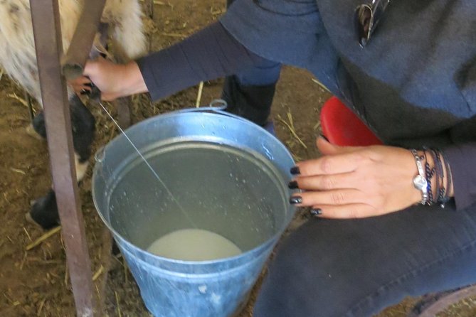 Halloumi Heaven: Cheese-Making Class & Troodos Mountain Villages 8h - Accessibility and Booking