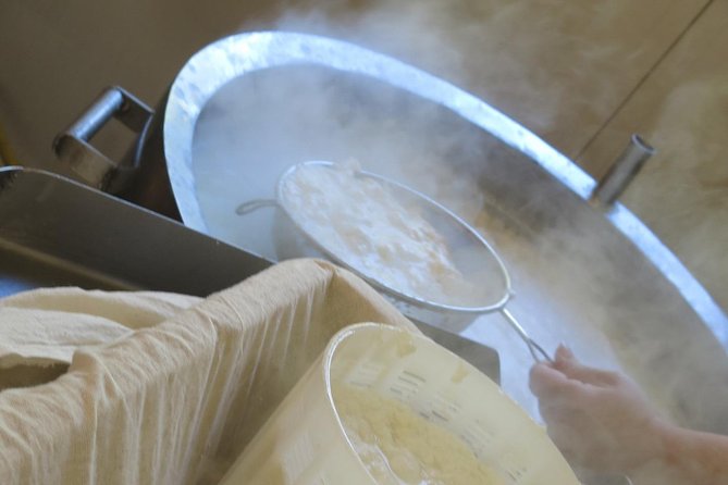 Halloumi Heaven: Cheese-Making Class & Troodos Mountain Villages 8h - Additional Information