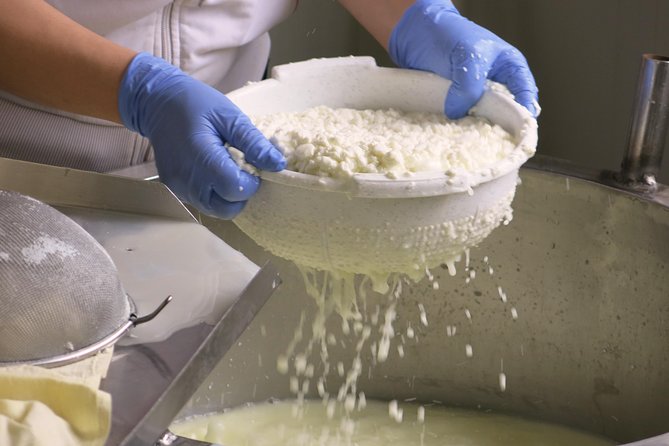 Halloumi Heaven: Cheese-Making Class & Troodos Mountain Villages 8h - Pickup and Logistics