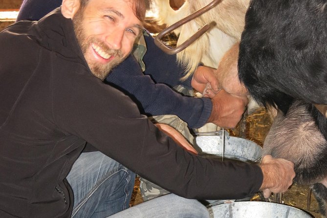 Halloumi Heaven: Cheese-Making Class & Troodos Mountain Villages 8h - Cheese-Making Workshop