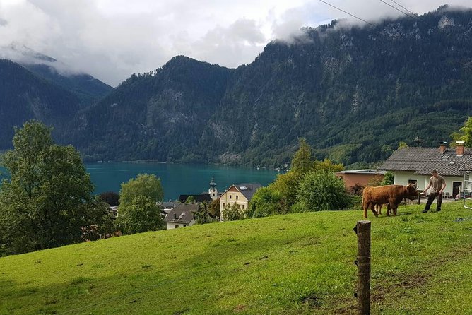 Hallstatt Small-Group Day Trip From Vienna - Booking Confirmation