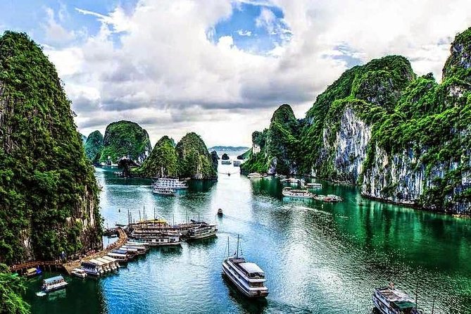 Halong 1 Day With Surprise Cave Review - Traveler Accessibility
