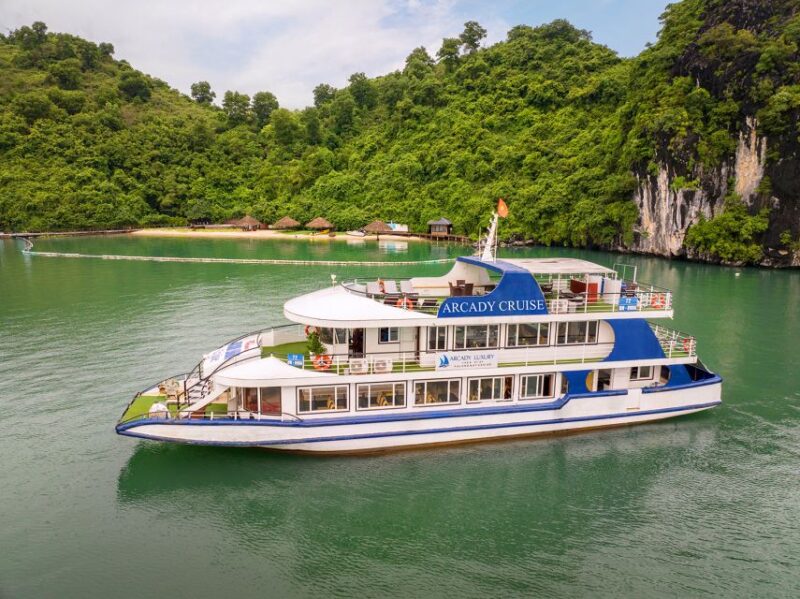 Halong: 5-Star Day Cruise, Buffet Lunch, Kayaking & 2 Caves - Onboard Buffet Lunch