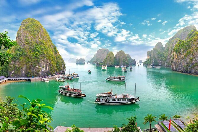 Halong Bay and Cave Full-Day Cruise,Lunch,Island,Beach from Hanoi - What the Reviews Say