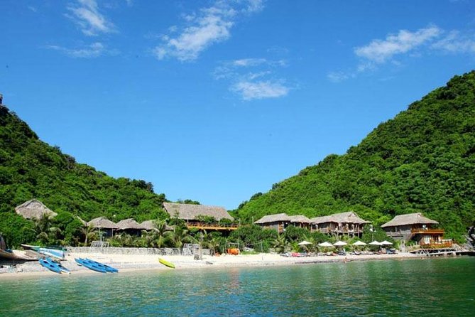 Halong Bay and Lan Ha Bay From Cat Ba Island: Cruise and Kayak Tour - Tour Availability