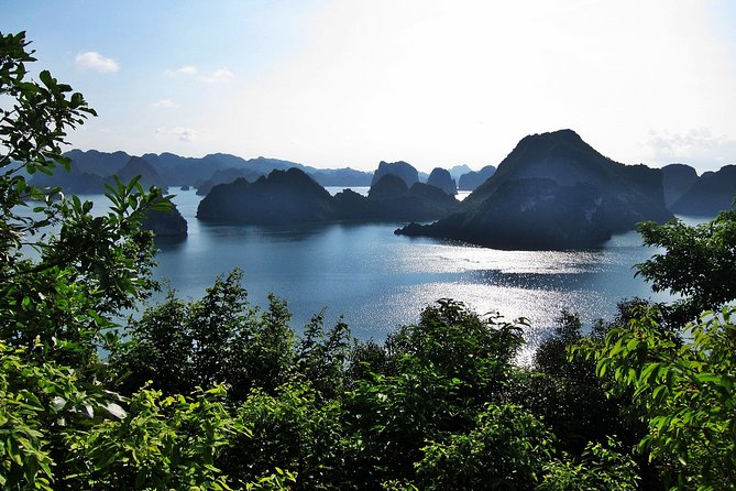 Halong Bay Cruise 2 Days 1 Night With 4 Star Luxury - Accommodation and Dining