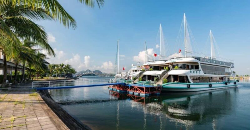 Halong Bay Cruise Trip : Caves, Buffet Lunch, Kayak, Titop - Key Points