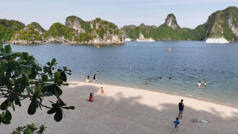 Halong Bay Cruise Trip : Caves, Buffet Lunch, Kayak, Titop - Participant Information