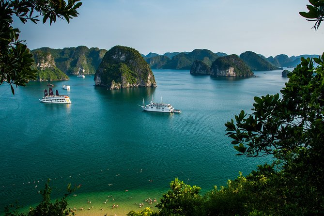 Halong Bay Day Cruise With Bamboo Boat Ride or Kayaking - Reviews and Feedback