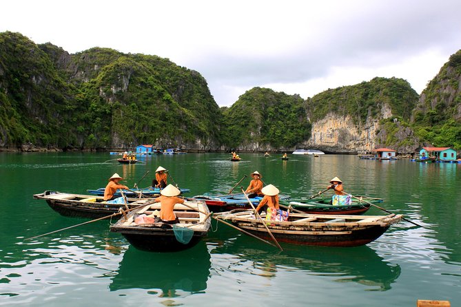 Halong Bay Day Cruise With Bamboo Boat Ride or Kayaking - Pricing and Cancellation