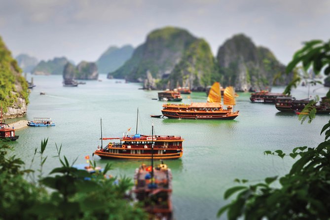 Halong Bay Day Cruise With Bamboo Boat Ride or Kayaking - Departure and Return