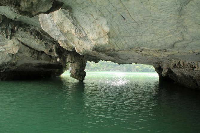Halong Bay Day Tour: 4 Hour Cruising, Caving, Kayaking & Lunch - Customer Experiences and Feedback