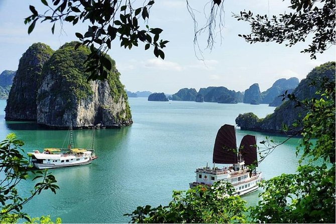 Halong Bay Day Trip 6-Hour Cruise Tour [Round-Trip Highway] With Lunch, Sea Kayak or Bamboo Boat (Row Boat) - Pricing and Cancellation