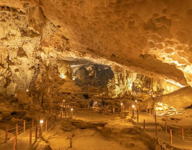 Halong Bay Day Trip: Surprise Cave, Titop Island, Kayak-Swim - Included Services
