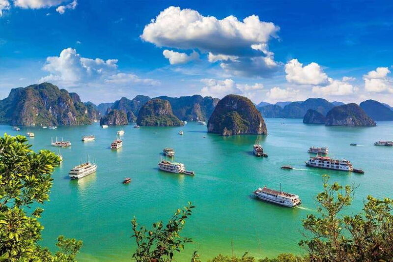 Halong Bay Day Trip With Premium Cruise and Buffet Lunch - Cruise Experience