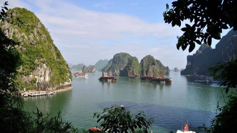 Halong Bay Day Trip With Premium Cruise and Buffet Lunch - Inclusions