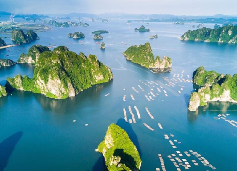 Halong City Voyage on Yacht: Luxury Day Trip From Hanoi - Inclusions and Exclusions