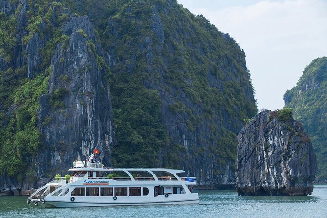 Halong Cruise Day Tour With Lunch, Cave Explore & Titop Island - Delicious Seafood Lunch Onboard