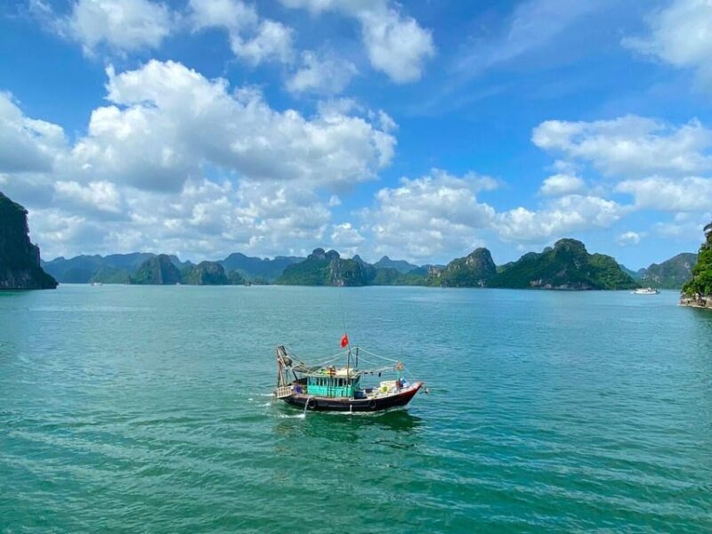 Halong Full Day Cruise: Kayak, Cave, Lunch, Beach & Island - Important Information