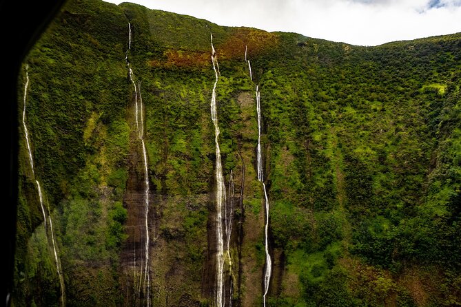 Hamakua Coast & Valleys Safari - Pricing and Booking Options