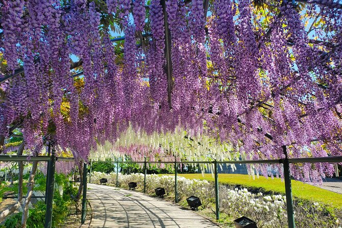 Hamamatsu Flower Park & Lake Hamana Private Tour With Public Bus - Planning Your Hamamatsu Adventure