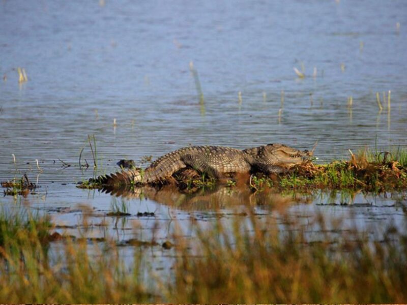 Hambantota Harbor: Safari at Lunugamvehera National Park - Sightseeing and Photo Opportunities