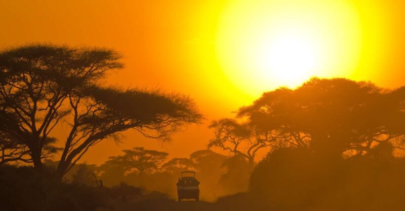 Hambantota Port: Bundala National Park Safari in a 4x4 - Key Points