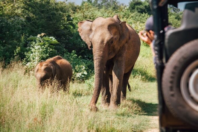 Hambantota Port: Bundala National Park Safari in a 4x4 - Recap