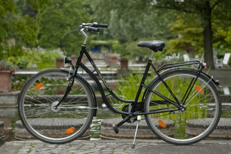 Hamburg: Bike Rental - Rental Details