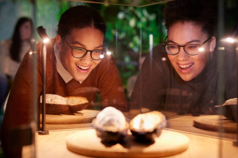 Hamburg: Chocoversum Guided Tour With Tastings - Sensory Awakening With Chocolate