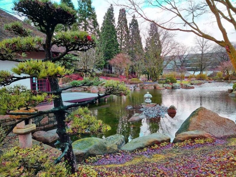 Hamburg Planten + Blomen Audiorally by P.I. Sir Peter Morgan - Key Points