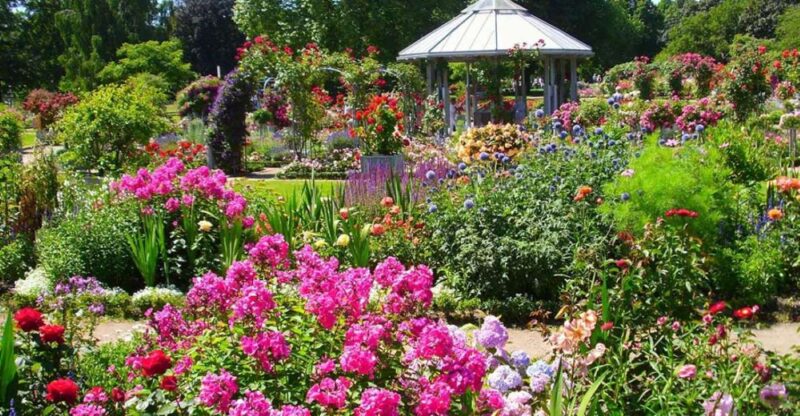 Hamburg Planten + Blomen Audiorally by P.I. Sir Peter Morgan - Game Features