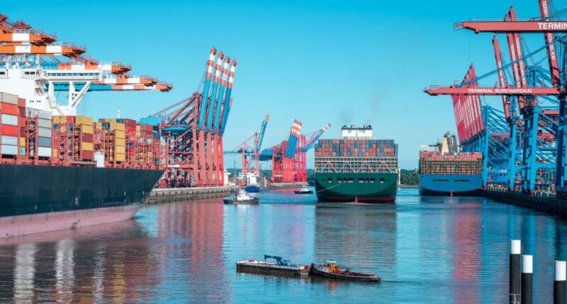 Hamburg: Private Driving Tour With Local Guide - Tour Features