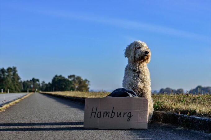 Hamburg: Private Warehouse District & HafenCity Walking Tour - Frequently Asked Questions
