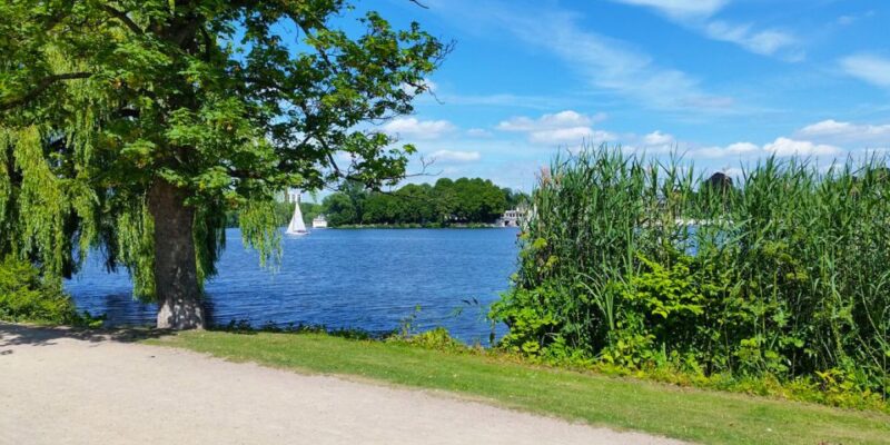 Hamburg: Self-Guided Walking or Bike Tour Around the Alster - Important Information