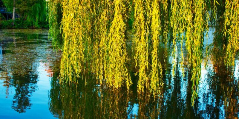 Hamburg: Self-Guided Walking or Bike Tour Around the Alster - Modes of Exploration