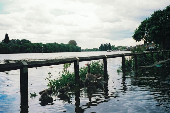 Hammersmith to Chiswick: a Self-Guided Audio Tour Along the Riverside - Culinary Delights in Chiswick