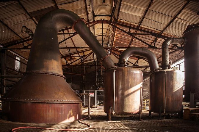 Hampden Estate Rum Tour and Lunch From Falmouth - Indulge in Authentic Jamaican Flavors
