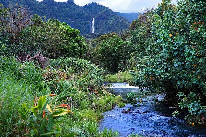 Hana Rainforest Helicopter Flight With Landing From Maui - Highlights of the Experience