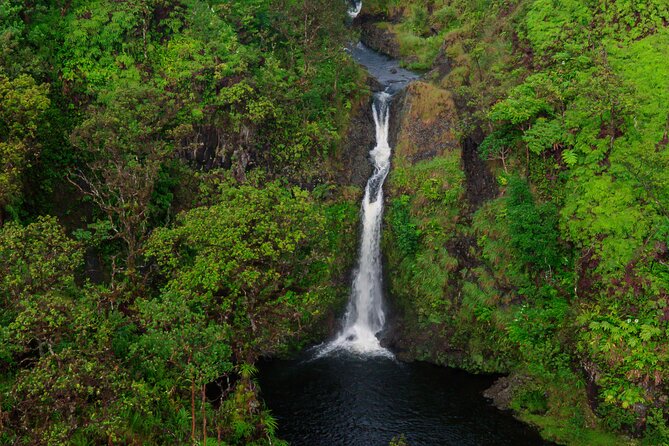 Hana Rainforest Scenic Helicopter Tour - Tour Inclusions