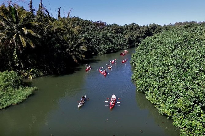 Hanalei Bay AM Kayak and Snorkel Tour - Dietary Accommodations