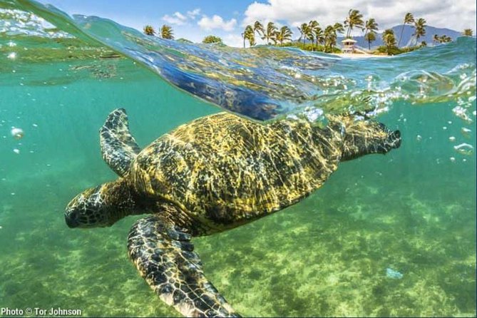 Hanalei River Paddle and Bay Snorkel Tour - 8 Am (Lunch Included) - Opportunity to Ride Gentle Waves