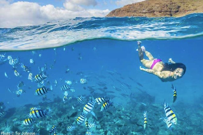 Hanalei River Paddle and Bay Snorkel Tour - 8 Am (Lunch Included) - Booking and Cancellation Policy