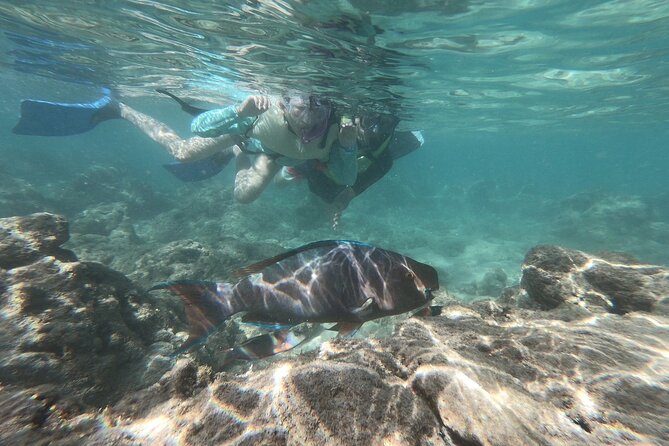 Hanauma Bay Guided Snorkeling Tour - Key Points