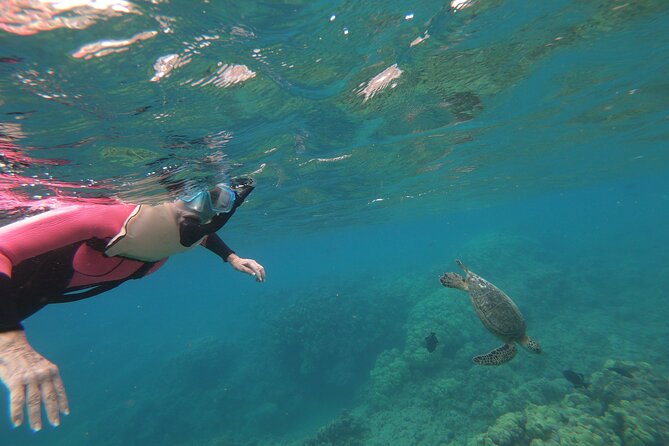 Hanauma Bay Guided Snorkeling Tour - Customer Feedback: Common Praise
