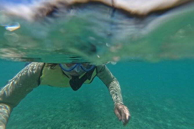 Hanauma Bay Guided Snorkeling Tour With Transportation - Key Points