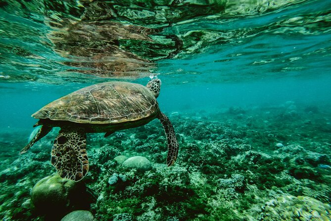 Hanauma Bay Snorkel - Transportation Details
