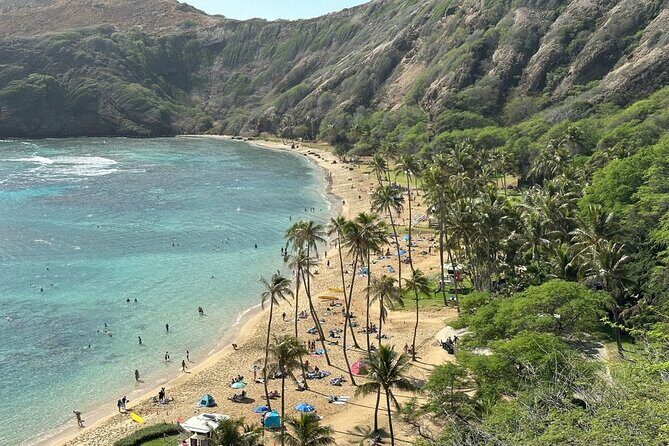 Hanauma Bay Snorkel Lesson - Who Will Love This Tour?