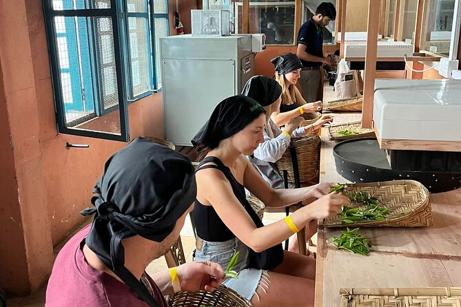 Handmade Tea Tour in Ella Sri Lanka - Good To Know